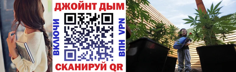 купить наркотики цена  Гаврилов Посад  Бошки марихуана сатива 
